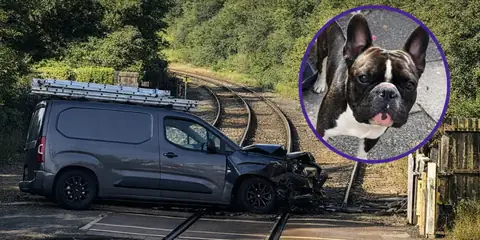 Van Driver Loses License After Blaming Dog for Railway Station Crash