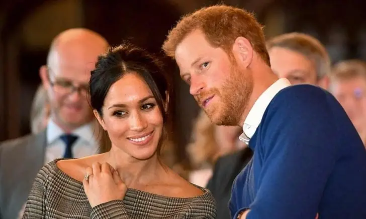 Many fans speculate maybe Prince Harry plans to buy a brand new car for his family, that's why he opted to sell his Audi RS6 Avant.