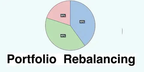 Should I Rebalance My Portfolio Alone or Seek Professional Help?