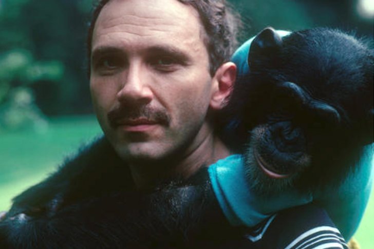 There two chimps at the circus. Обезьяна пьет чай. There two chimps at the circus. Бабблз обезьяна майкла. There two chimps at the circus.